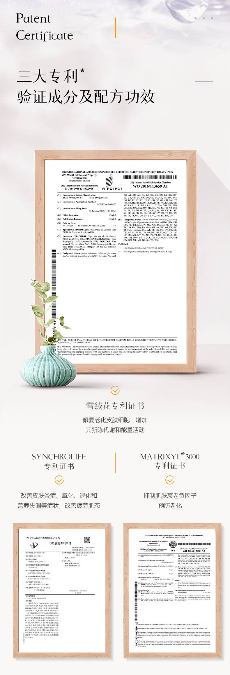 蕴能弹透启肤面霜_10.jpg